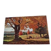 Postcard A Typical New England Fall Scene Orange Leaves Chrome Unposted - £5.42 GBP