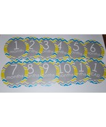 Neutral Monthly baby stickers. Peel and stick bodysuit labels. - $136.70 MXN
