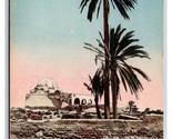 Marabout Dans l&#39;Oasis Tunisia Africa UNP DB Postcard Y17 - $3.91