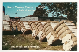 Every Yankee Tourist is Worth a Bale of Cotton Humor UNP Postcard c1960s - £7.98 GBP