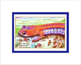 Redback Ink Matted Print, Amphibian, Salamander - £19.14 GBP