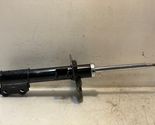 OE Spectrum 72585UB Shock Strut Assembly - $89.99
