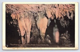 Postcard Great Onyx Cave Kentucky Hanging Garden Formation L. P. Edwards - £2.81 GBP