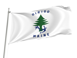 Naval Ensign of Maine Flag,Size -3x5Ft / 90x150cm, Garden flags - £23.37 GBP