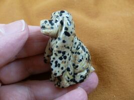 (Y-DOG-CS-565) spotted Jasper COCKER SPANIEL dog gemstone gem carving sh... - $15.79