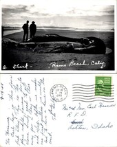 California Pismo Beach Two Sharks Posted 1948 Vintage Real Photo RPPC Postcard - £22.70 GBP