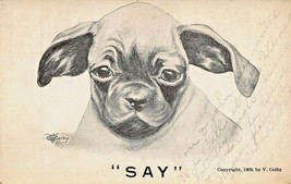 Pug? Chien &quot;&quot;Say&quot;&quot;~ 1909 Artist Vincent V Colby Postcard-
show original title... - £7.11 GBP