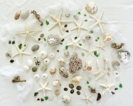 Lot 117 pc Sea Shells Star Fish Sea Glass Nautical Wedding Decor Crafts ... - £48.92 GBP