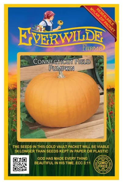 20 Connecticut Field Pumpkin Pumpkin Seeds Farms Mylar Seed Packet Fresh Garden - £6.71 GBP