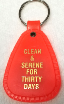 Clean Serene 30 Days Keychain Narcotics Anonymous Logo Orange Plastic Vintage - $12.30