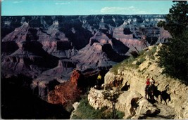 Grand Canyon Park Arizona Mule Train Returns Kaibab Bright Angel Trail Postcard - £3.89 GBP