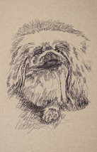 Pekingese Dog Art Portrait Print #236 Kline Draws Your Dogs Name Free. N... - £38.88 GBP