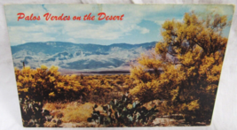 Petley Color Postcard Photo Tad Nichols Palo Verde Tree Desert Phoenix Arizona - £2.32 GBP
