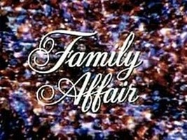 Family Affair - 137 episodes   from 60&#39;s  classic tv - £17.59 GBP