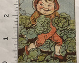 Farmer With Cabbage Colorful Victorian Trade Card VTC 6 - $12.86