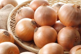 500 Walla Walla Sweet Onion Seeds Heirloom Non Gmo Fresh Garden - £8.63 GBP