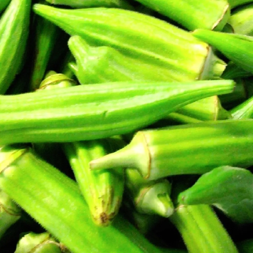 Clemson Spineless Okra 100 Seeds for colorfull garden NON GMO - £5.11 GBP