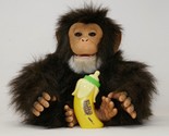 Hasbro 2005 FurReal Friends Cuddle Chimp Chimpanzee Monkey Interactive P... - £58.24 GBP
