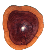 CYPRESS WOOD Oval  Art Gorgeous Artwork - $27.12 CAD