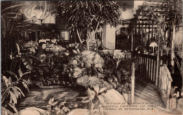 St. Petersburg FL-Florida Garden Cafeteria Interior Antique Vintage Postcard a3 - £17.76 GBP