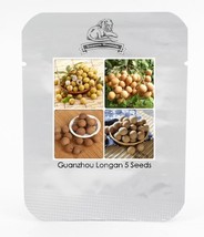 Guanzhou Longan Fruit Seeds Pack 5 Seeds Tasty Sweet Fruits Ts124 Garden USA SHI - £7.03 GBP