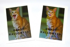2 Cat Halloween Photo Greeting Cards, 5X7 Blank Inside - £3.45 GBP