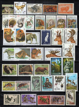 Wild Animals Stamp Collection ALL MNH Wildlife Monkeys Zebra ZAYIX 0324S... - £23.76 GBP