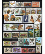 Wild Animals Stamp Collection ALL MNH Wildlife Monkeys Zebra ZAYIX 0324S... - £23.48 GBP