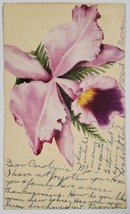 Handmade Hand Cut Die-cut Applique Pretty Purple Flower Randolph MA Postcard C24 - £6.22 GBP