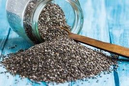 SML Chia Seeds Catgrass Seeds 300 Organic Florida Grown Bulk Seeds - $12.69