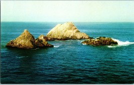 Seal Rocks off the CLiff House in San Francisco California Postcard - £4.69 GBP