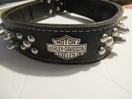 Harley collar  1  thumb200