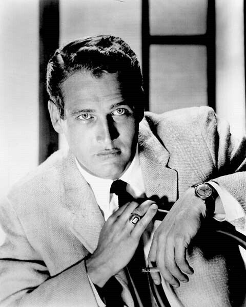 Paul Newman 1950's era studio portrait in suit and tie dapper look 8x10 photo