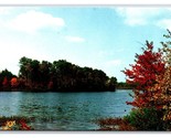 Pickerel Pond Limerick Maine ME UNP Chrome Postcard J19 - £8.63 GBP