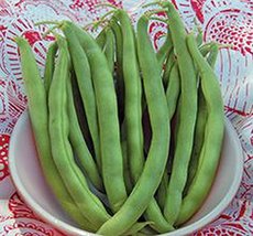 Bean, Kentucky Wonder Pole Green Bean, Heirloom, 500+ Seeds, Classic Bean - £7.02 GBP