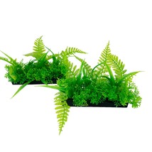 Penn Plax Aquarium Fish Tank Plant Medium Ostrich  Fern Bunch Plant (2 pack) - £5.74 GBP