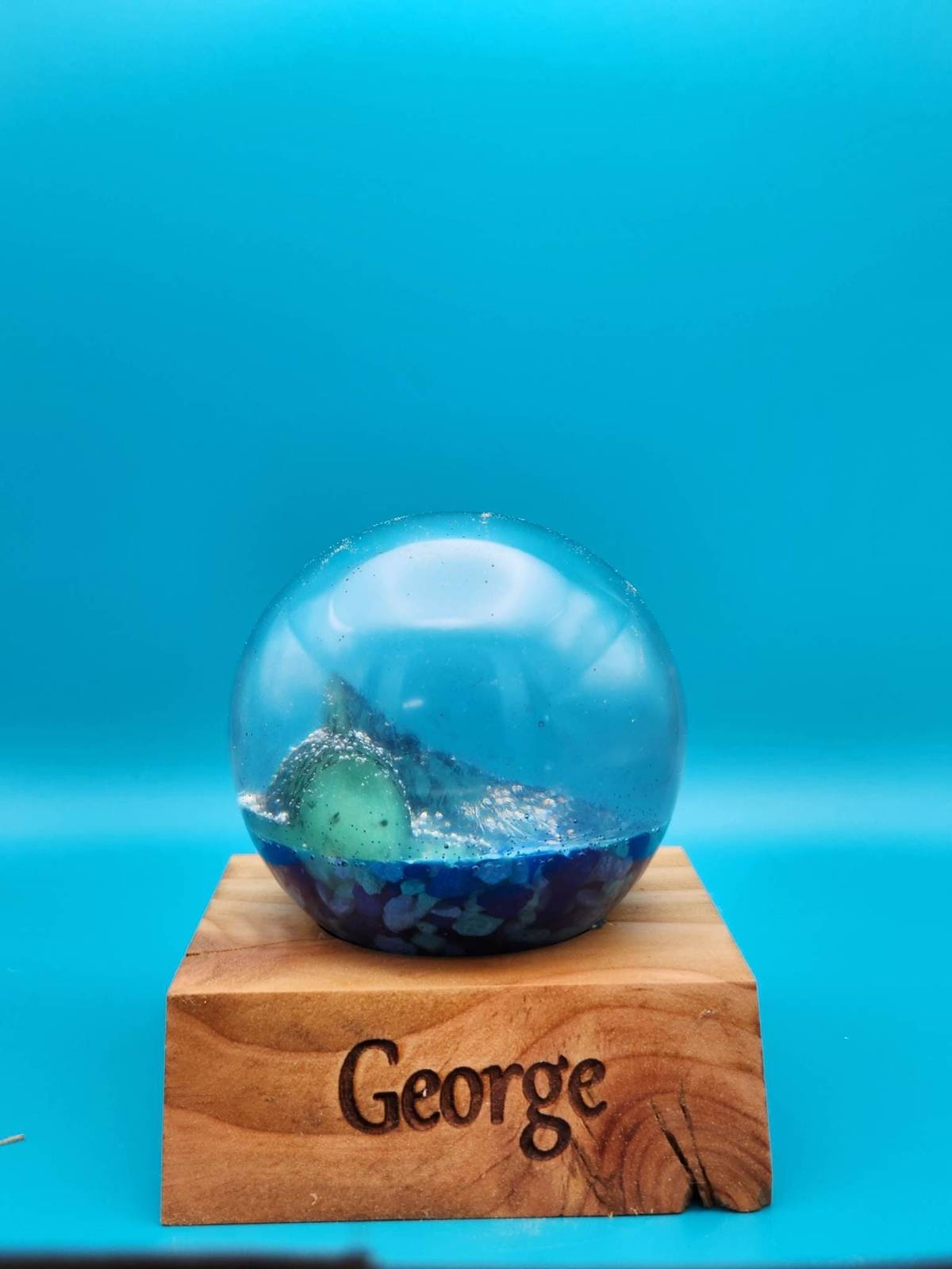 Fish Globe, George - $35.00