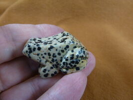 (Y-FRO-572) Dalmatian jasper FROG stone gemstone CARVING figurine I love... - $15.79