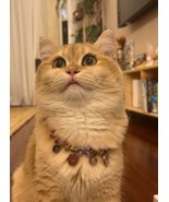 Handmade cat crystal collar  - $60.00