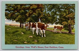 East Haddam CT Greetings From Wolf&#39;s House Connecticut Cows Field Postcard O22 - £10.35 GBP