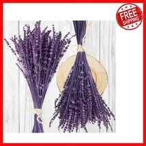 Fragrant Preserved Lavender - 15-17 - $29.09