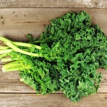 2000 Dwarf Siberian Kale Seeds Non-Gmo Heirloom From US - £7.99 GBP