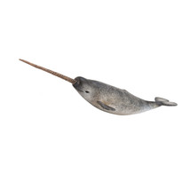 CollectA Narwhal Figure (Extra Large) - $22.34