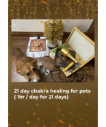 21 days Pet chakra healing (1hr/day for 21 days) - $15.00