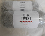 Big Twist Value lot of 2 Soft Grey Dye Lot 646734 - $9.99