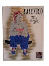 Calexico Poster Feast Of Wire Girl Sitting Skateboard - £34.68 GBP