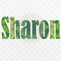 Sharon Font Digital SP - $1.99