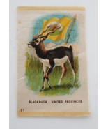 1910&#39;s Tobacco Blackbuck &amp; Flag of United Provinces # 21 in Series - $13.77 CAD