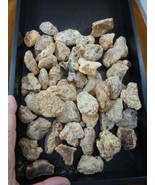 (k-4002) 500 g Rare Kauri tree Gum chips copal Amber New Zealand Tane Ma... - $158.00