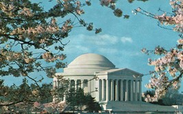 Vintage Postcard The Jefferson Memorial At Cherry Blossom Time Unstamped - £1.58 GBP